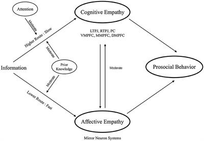 A Dual Route Model of Empathy: A Neurobiological Prospective